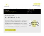 Phasefocus launches new corporate website