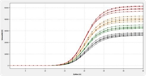 Representation of the amplification of a 120 bp E.coli-specific target sequence in the qTOWER3 84. In the image above, a manual reaction setup has been used, using the manual pipette for the carrying out the volume variation.