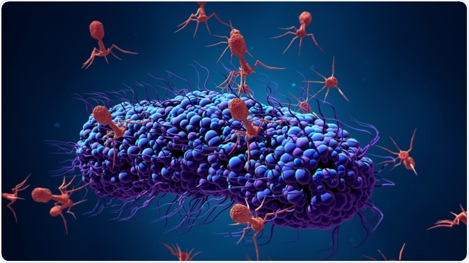 Bacteriophage swarming around a bacterial cells Bacteriophage swarming around a bacterial cells