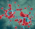 Senescent cells in the brain shown to cause obesity-related anxiety