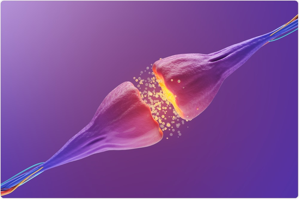 Neuronal synapse - motor neurons are affected in Parkinson