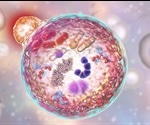 Autophagy Regulation
