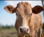 Recombinant Bovine Growth Hormones (rBGH) in Food