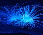 An Introduction to the LV200 Bioluminescence Microscope