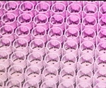 How do Immunoassays Work?