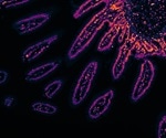 Fluorescence Quenching