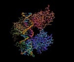 NMR Spectroscopy for In-Vitro Diagnostic Research