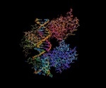 Affinity Chromatography vs. Protein A/G Purification