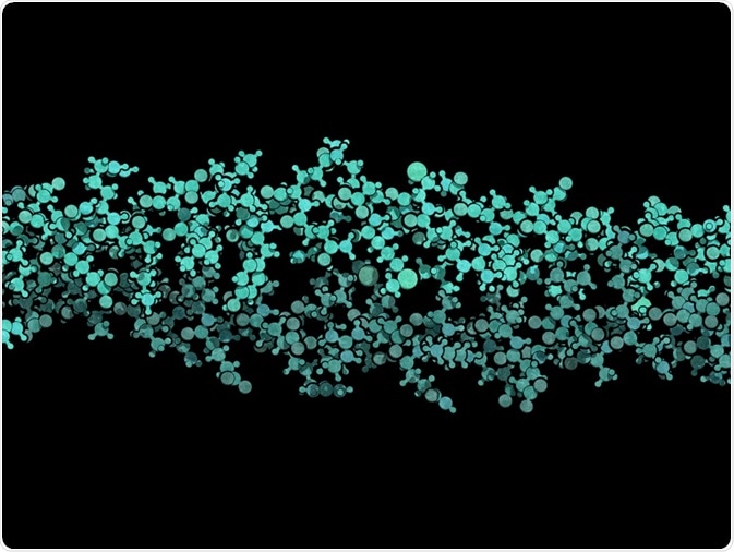 Protein structure