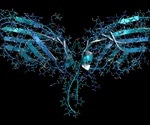 Sequencing Antibodies