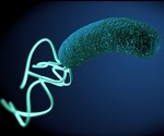 Growing Fastidious Microorganisms in the Laboratory