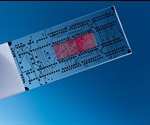 Combining Nanophotonics and Microfluidics for the Characterization of Nanoparticles