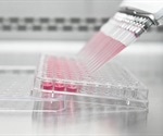HEK293 Cells: Applications and Advantages
