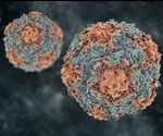 Many cancer patients have undiagnosed hepatitis