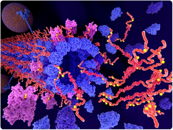 Pathological phosphorylation (yellow) of Tau proteins (red-orange) by kinases (violet) leads to disintegration of microtubuli in an axon and to aggregation of the tau proteins. Pathological phosphorylation (yellow) of Tau proteins (red-orange) by CDK5(violet) leads to disintegration of microtubuli in an axon and to aggregation of the tau proteins.