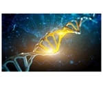 Chromatrap partners with Covaris to offer highly scalable and simple ChIP workflow