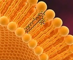 What is a Liposome?