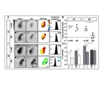Mice transmit brain benefits of enriched upbringing to non-enriched offspring
