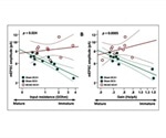Neurons produced after a stroke fail to develop properly, research finds