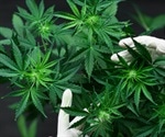 CBD Oil and Parkinson’s Disease