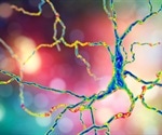 Antibodies and Huntington's: Diagnosis & Treatment