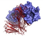 CSL-Behring recombinant factor research presented