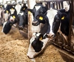 Sex Hormones in Meat and Dairy Products