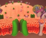 How Patch Clamp Technology Can Benefit Ion Channel Research