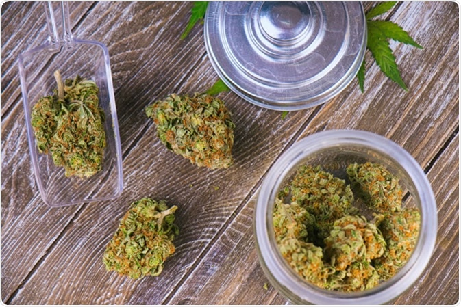 Cannabis buds. Credit: Roxana Gonzalezn / Shutterstock