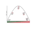Determining Stoichiometry Using FRET-Based Measurements of Protein Complexes