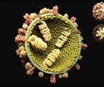 US Government to fund development of a 'universal flu vaccine'