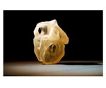Stratasys' new Digital Anatomy 3D Printer helps create a realistic training environment