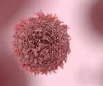Chemotherapy-induced senescent cells eat neighboring cells