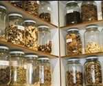 Authenticating Complex Herbal Products using Liquid Chromatography