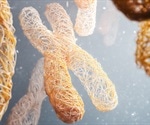Scientists successfully create age-resistant mice with hyper-long telomeres