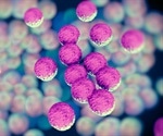 Scientists develop skin patch than may protect against antibiotic resistant superbugs