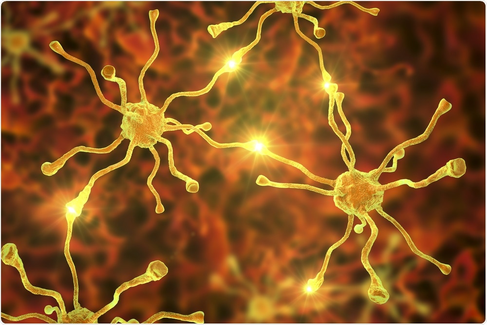 Neurons