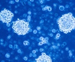 Tumorsphere Formulation and Use in Cancer Stem Cell Research