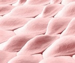 Using SBFSEM to Generate 3D Models of Skin Cells