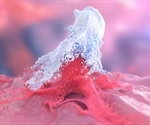 What is a Macrophage?