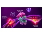 Promega and Merck collaborate to develop MSI companion diagnostic for use with anti-PD-1 therapy
