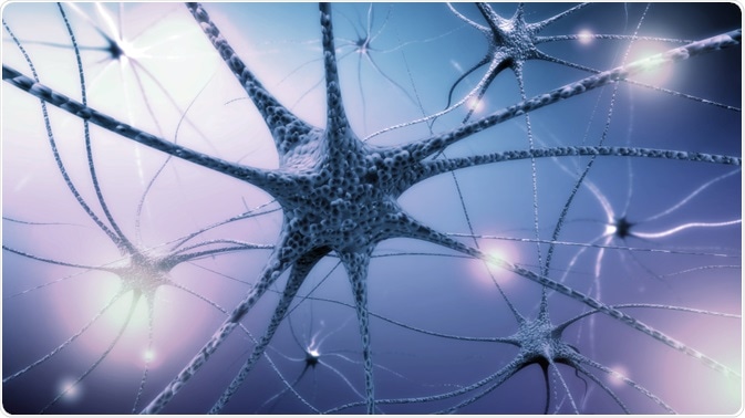 peripheral nerve