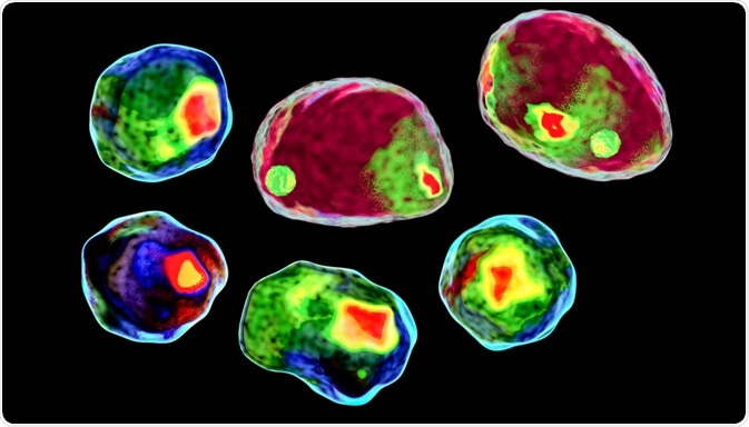 flow cytometry