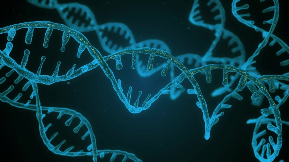 DNA