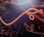 Tightening of Ebola care practice rules following survivor’s death