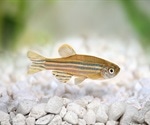 The Link Between Animal Behavior and Neuroscience