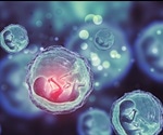 Fetuses see more than previously believed