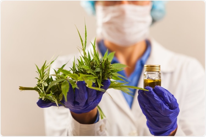 cannabis therapy