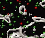 Scientists develop 3D atlas of bone marrow to help study blood diseases