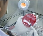 An alternative approach to augmenting the effect of antibiotics in chronic CF lung infections